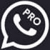 1710739525_WhatsApp Pro.png